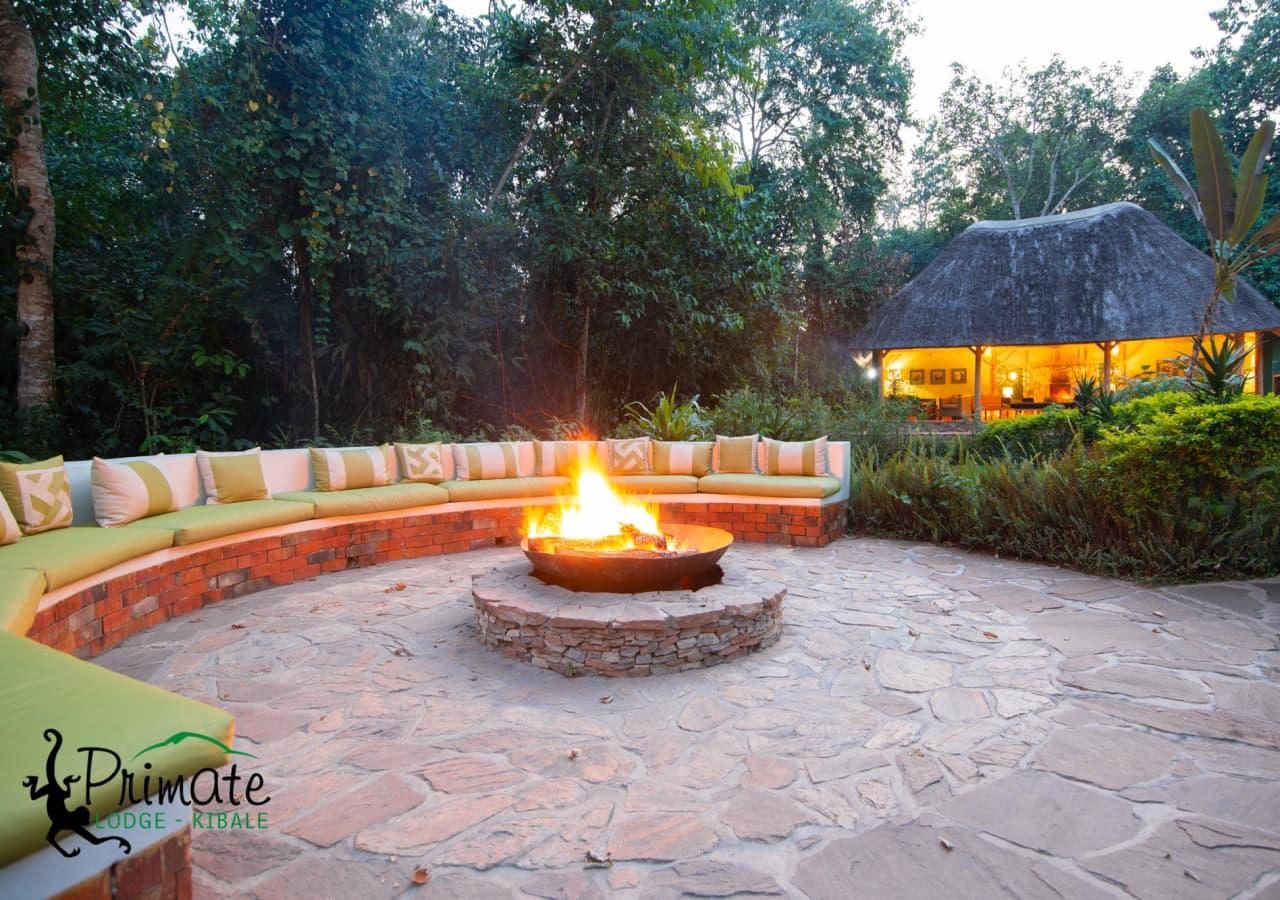 Primate Lodge firepit