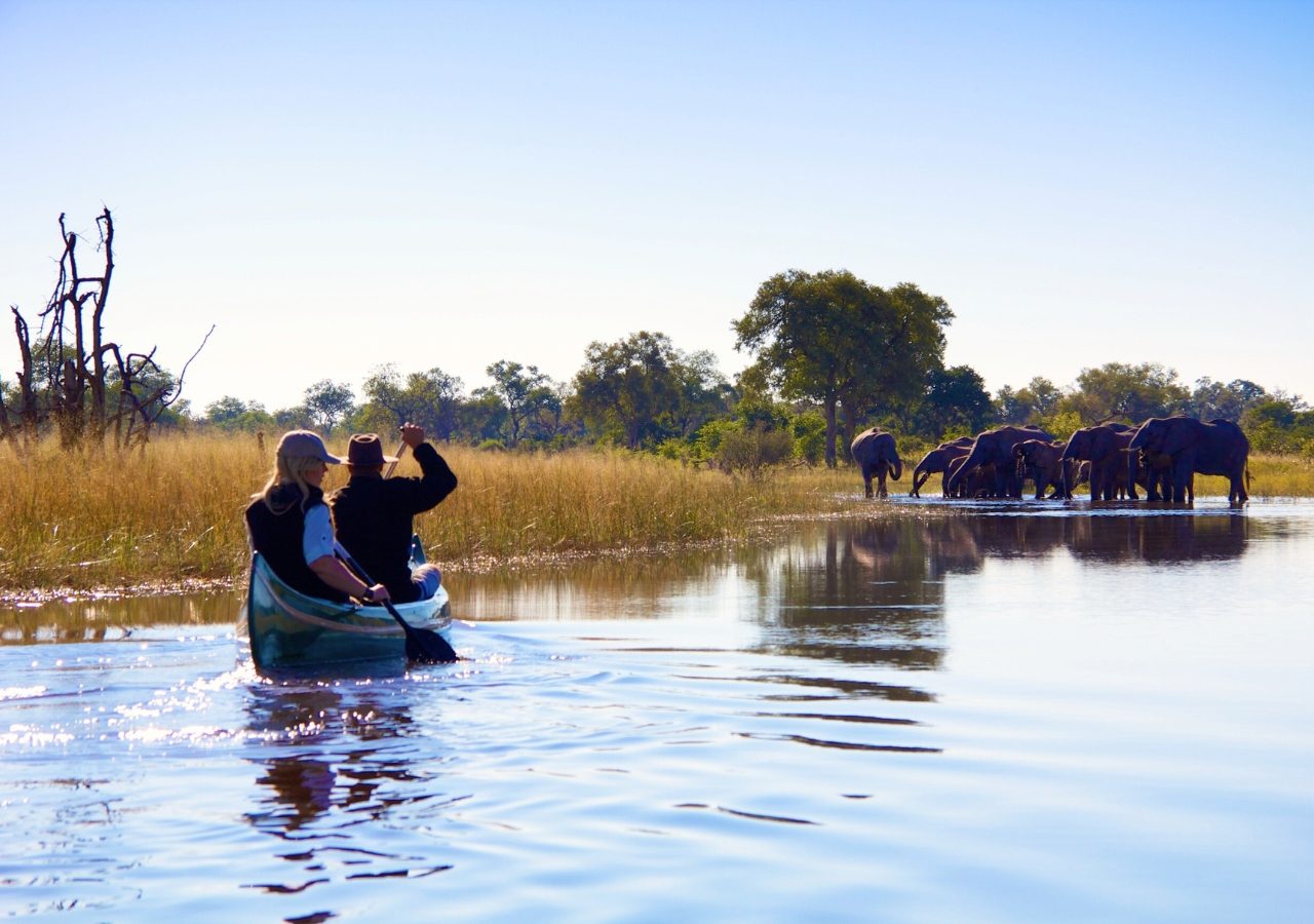 Selinda Explorer Camp Canoeing