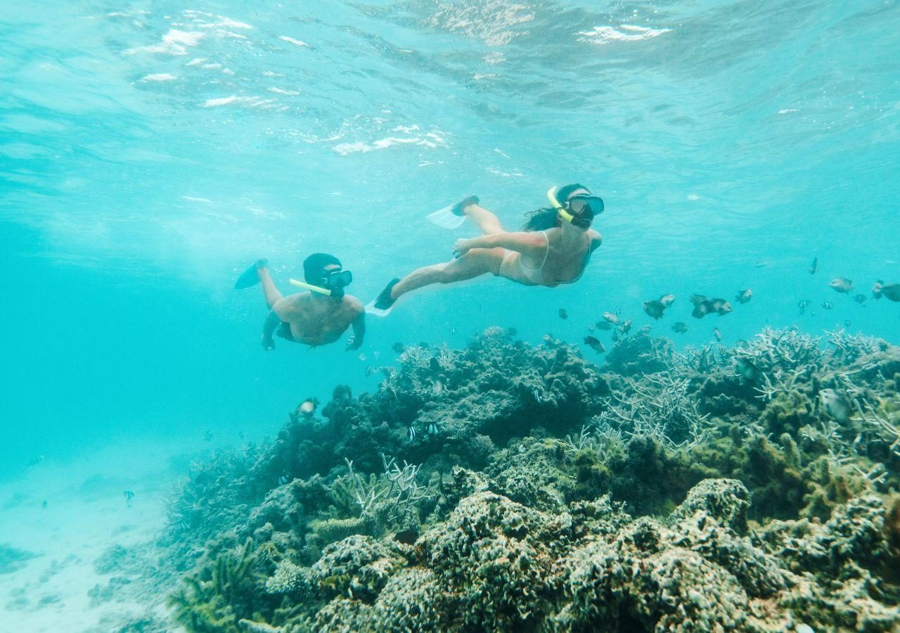 Shangri La Le Touessrok snorkelling