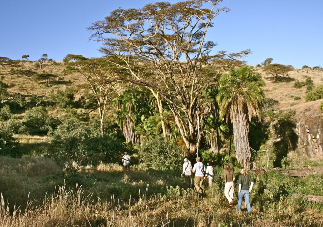 Sirikoi Bush Walk