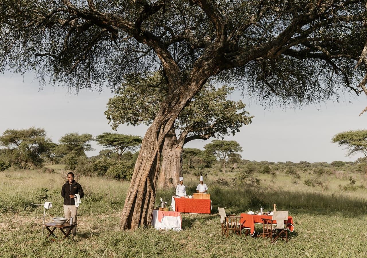 Tarangire Treetops bush breakfast