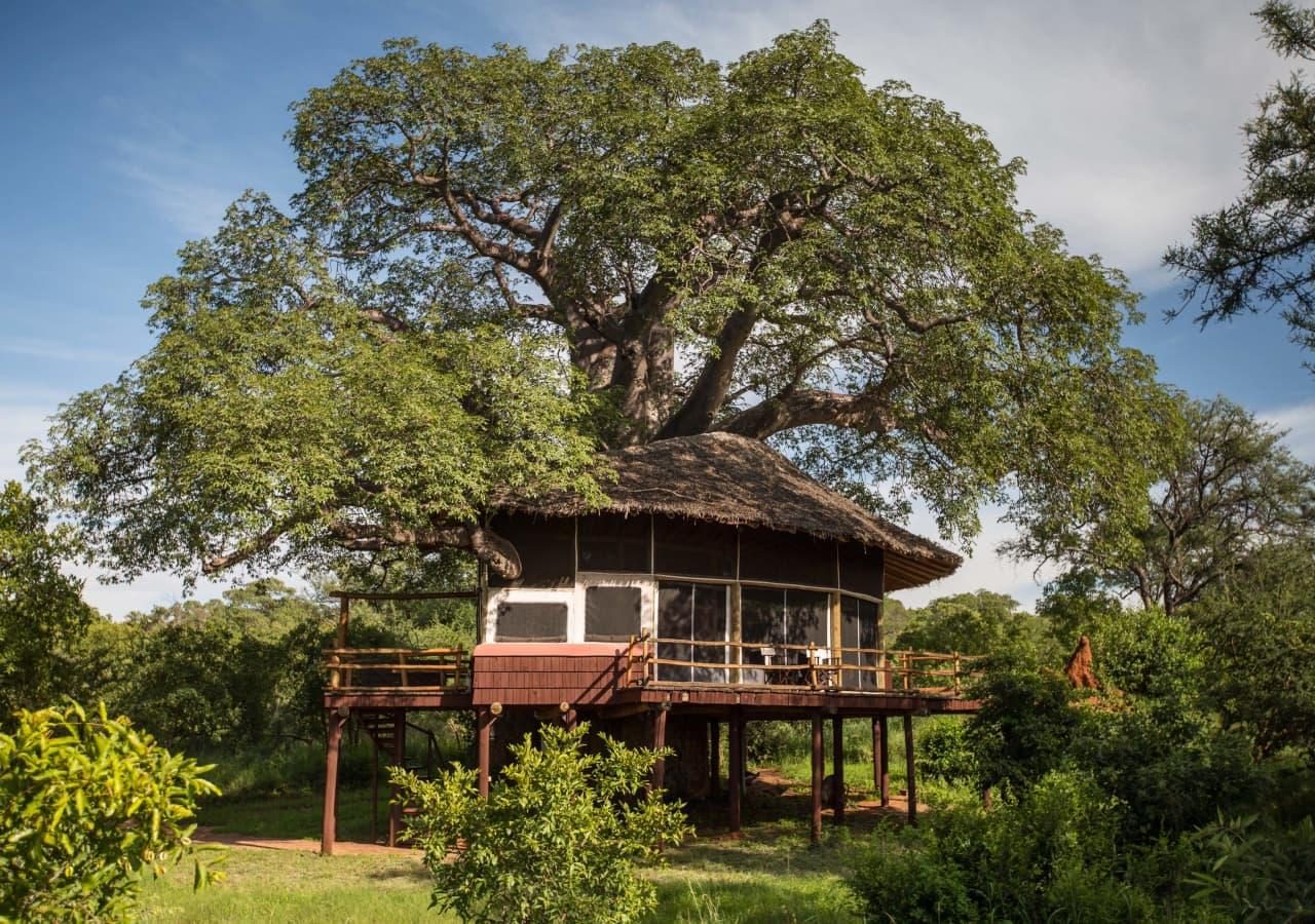 Tarangire Treetops exterior