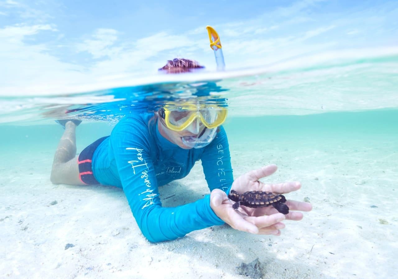 Turtle conservation and snorkelling at Alphonse