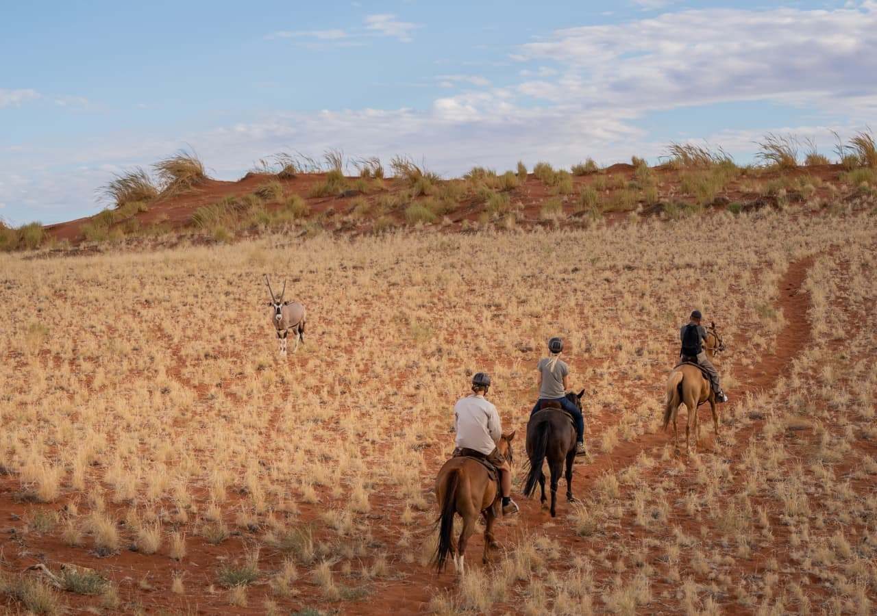 Wolwedans Activities Horse riding