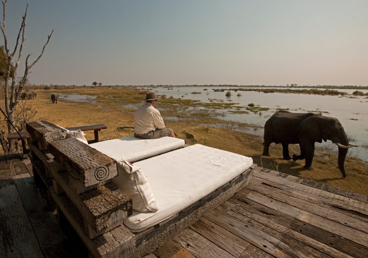 Zafara Camp Elephants