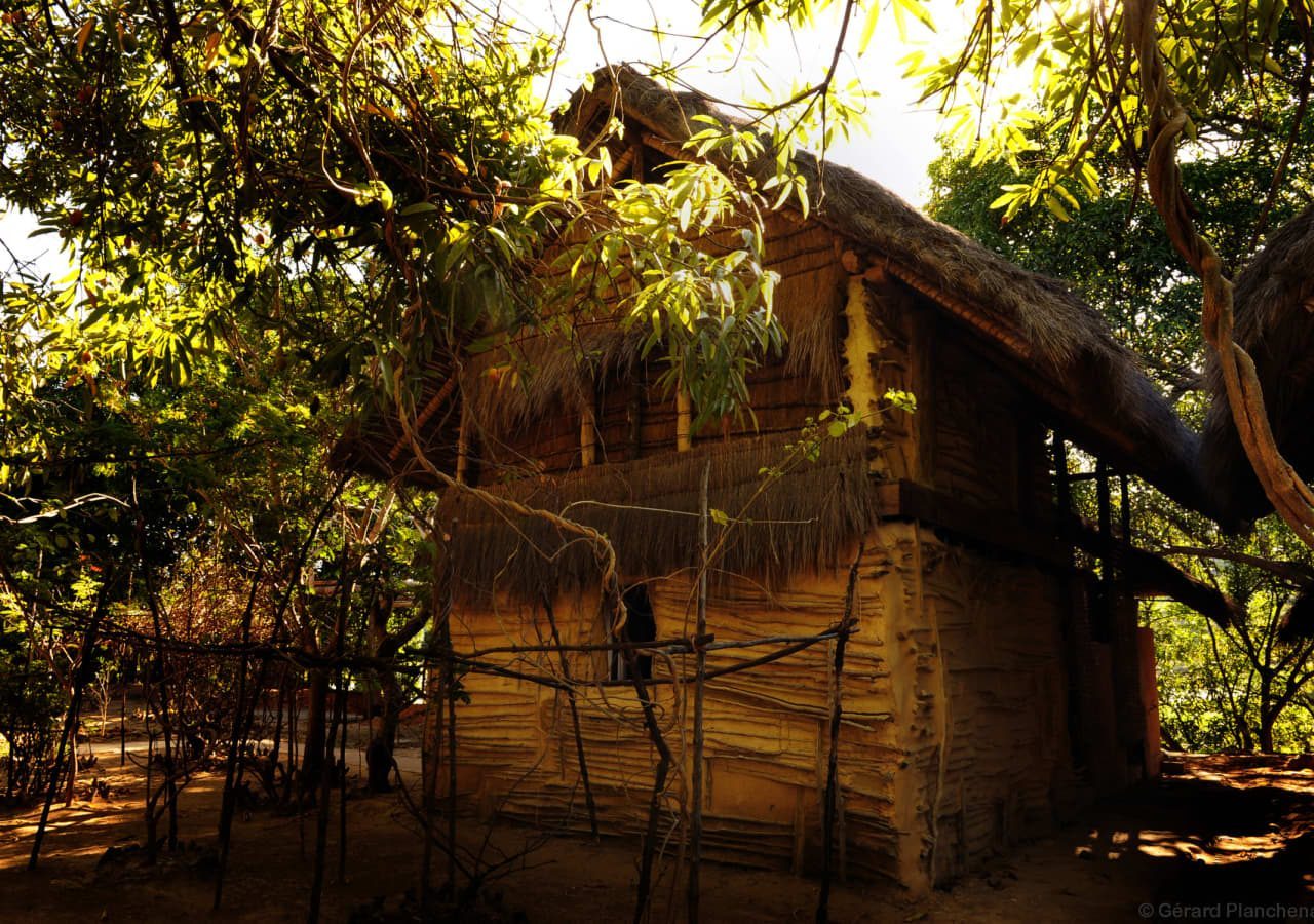 B cabana under the mango trees