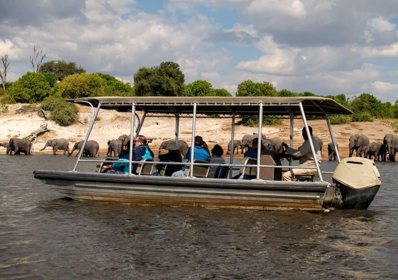 B elephant spotting on a river safari