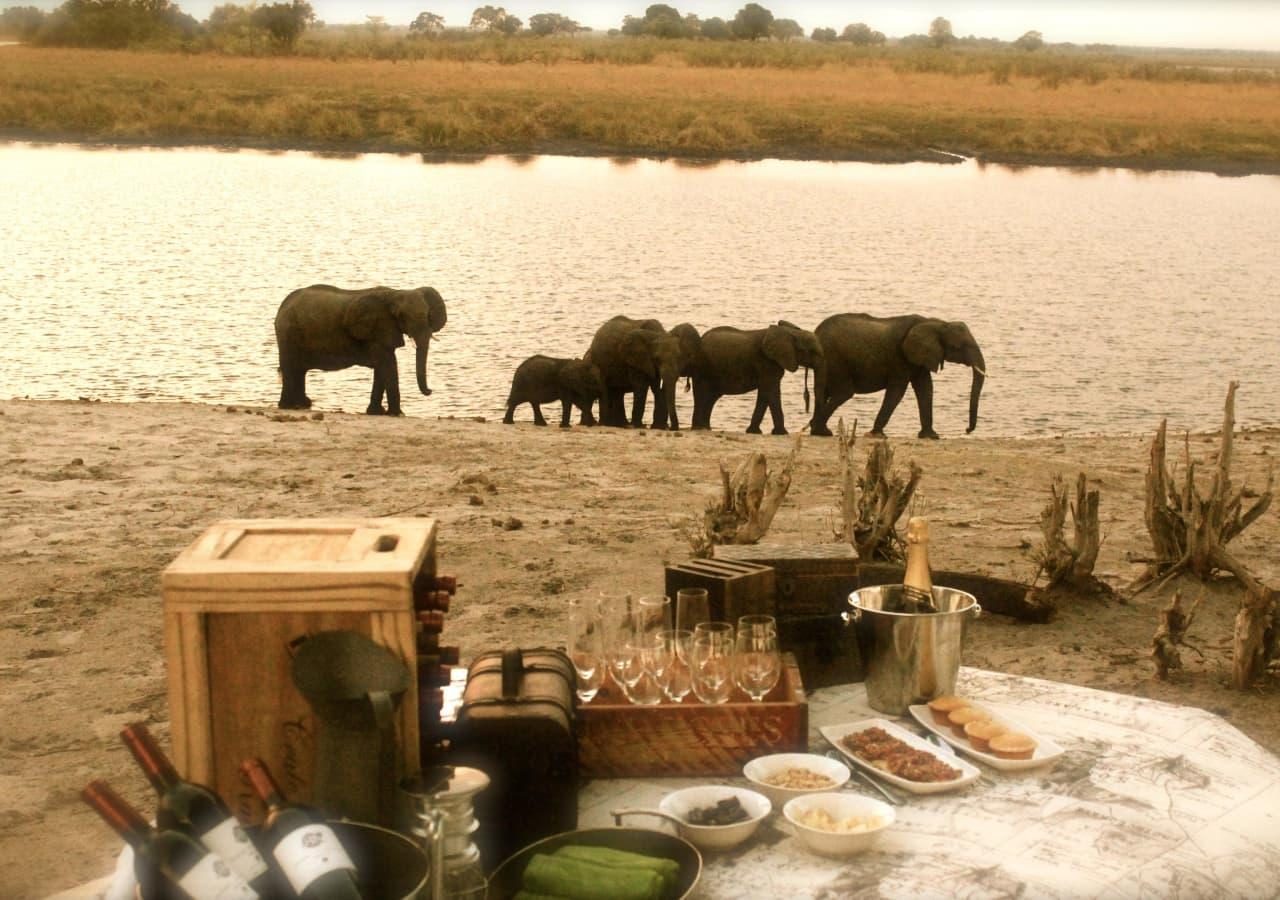 B sundowners with elephants