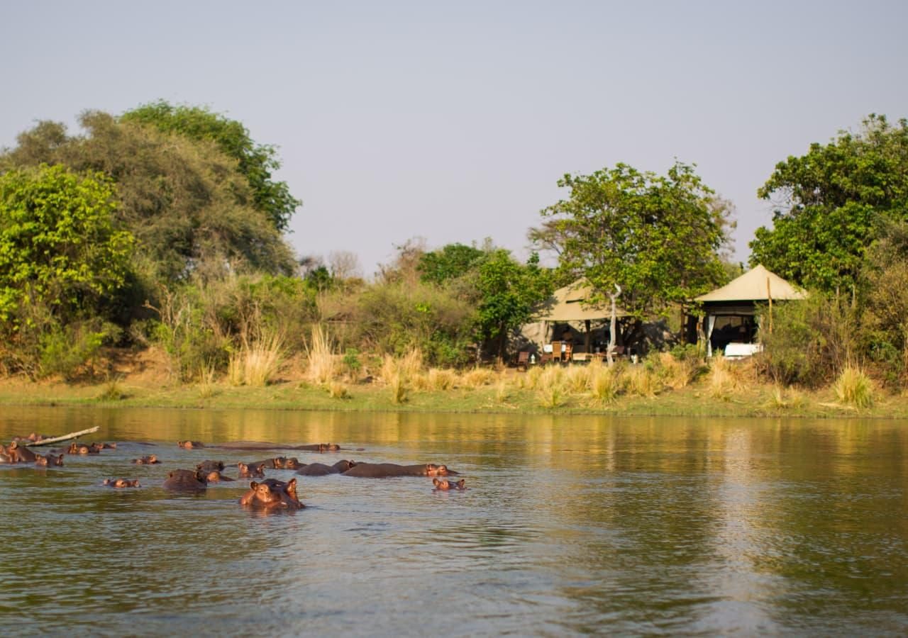 Hippo spotting outside the suites