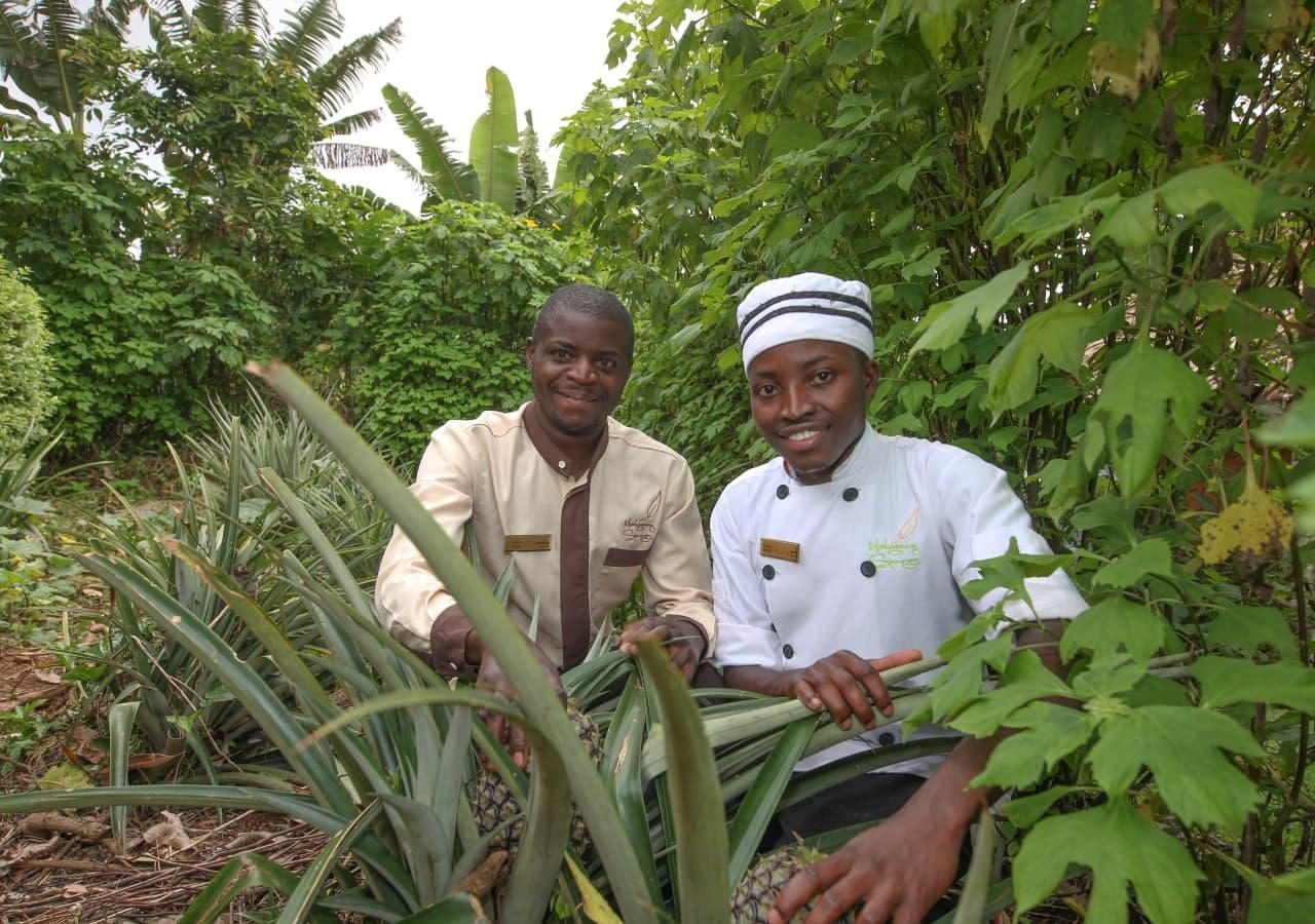 Mahogany springs garden chef