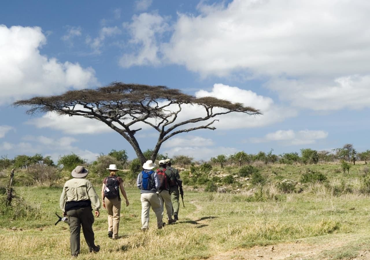 Monwana walking safari