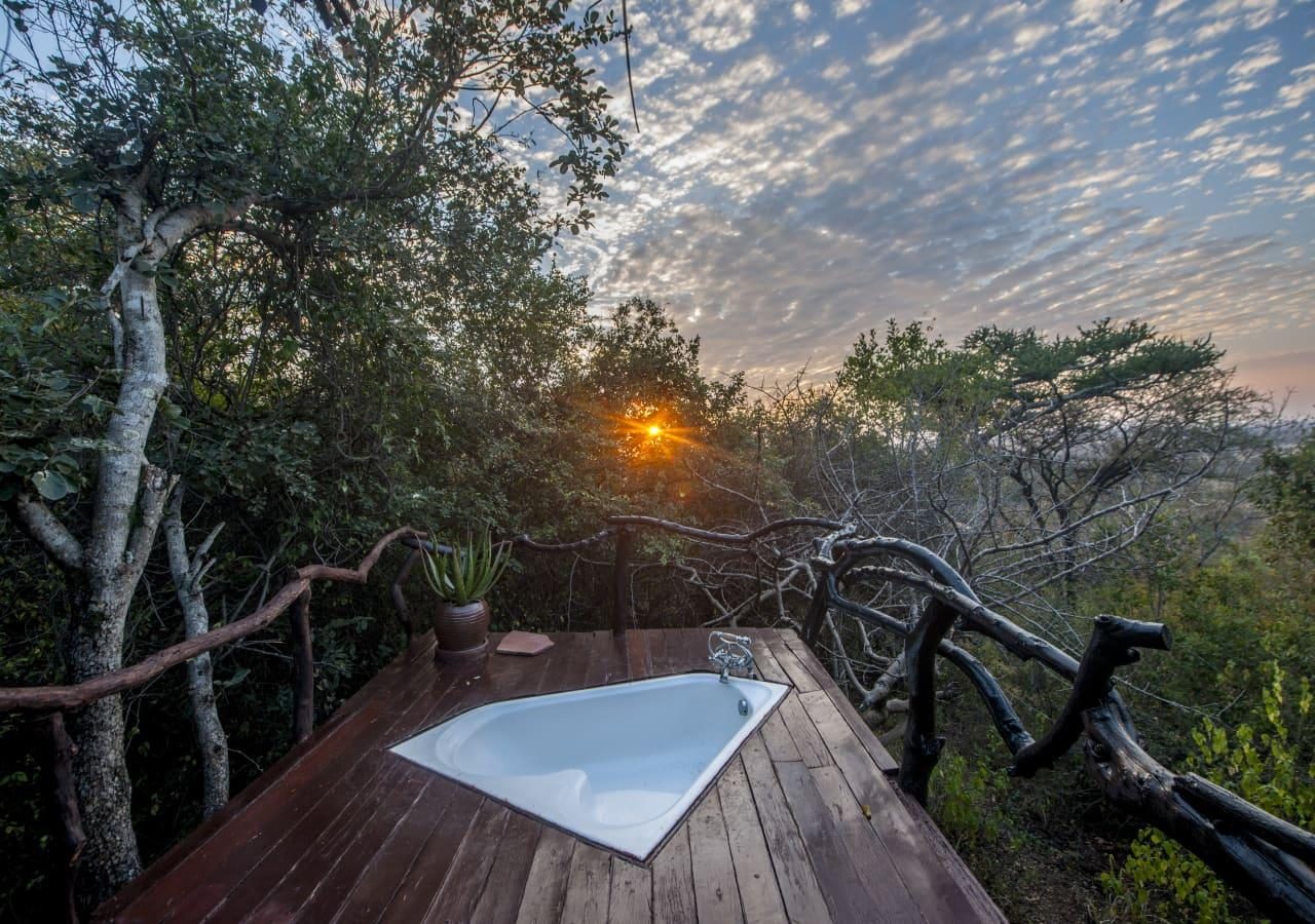 T outdoor bath in the treetops