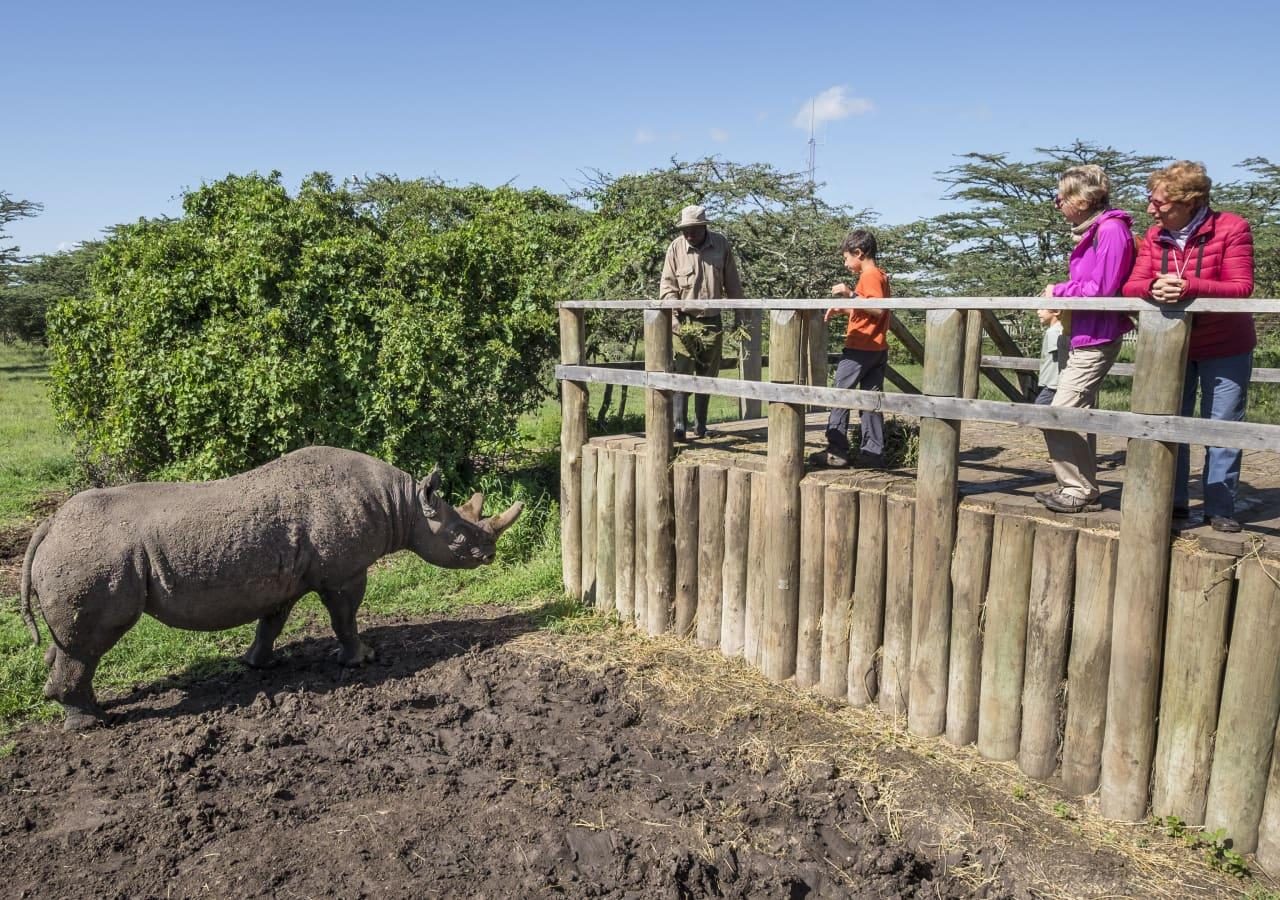 T rhino viewing deck