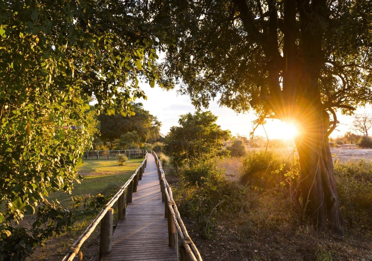 T walkway and landscape