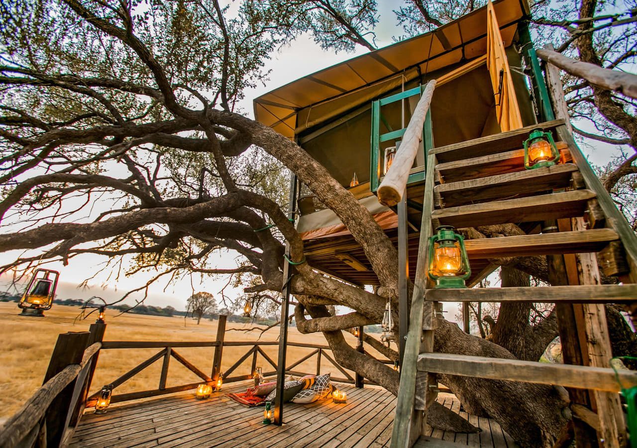 The doves nest treehouse exterior