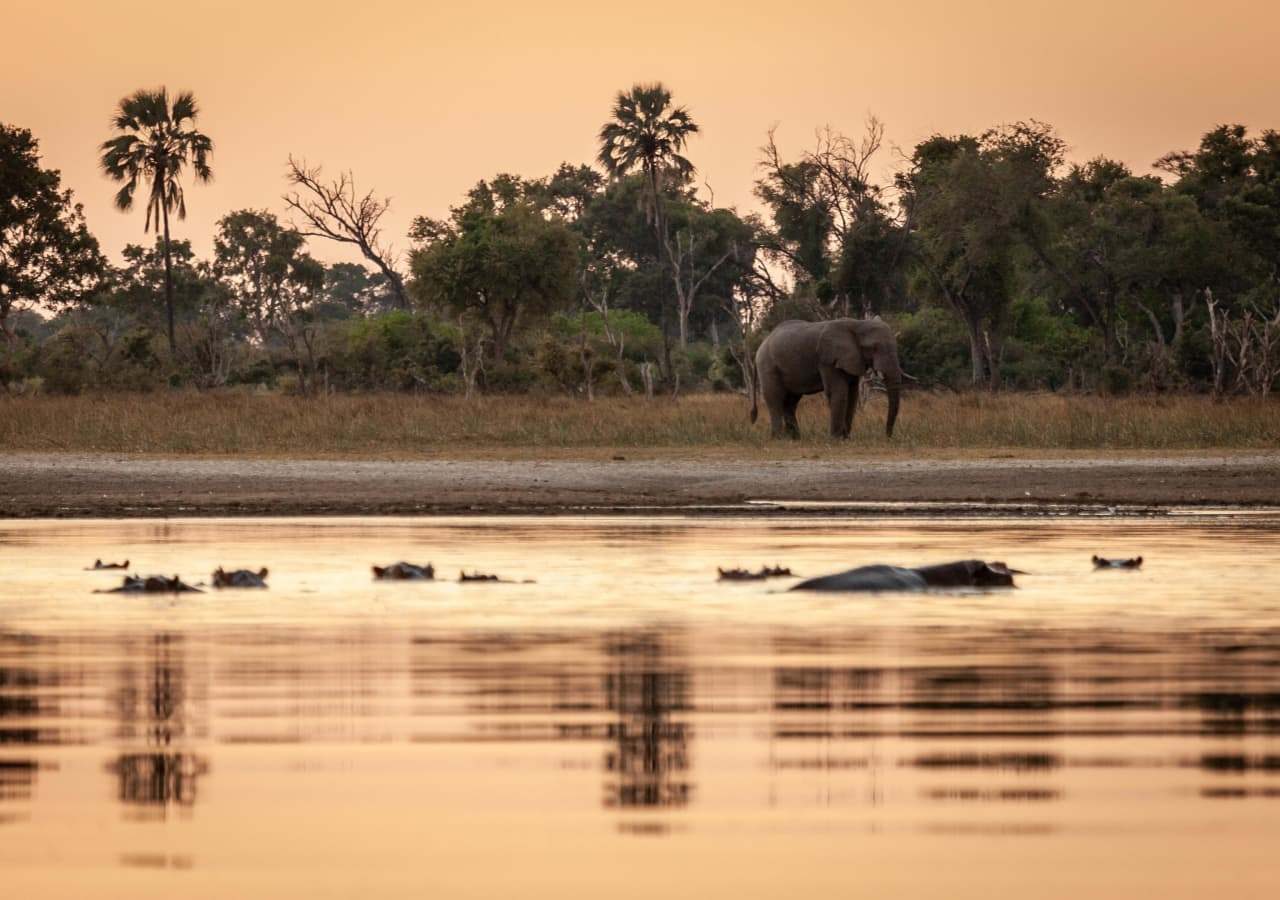 Wildlife at the camp