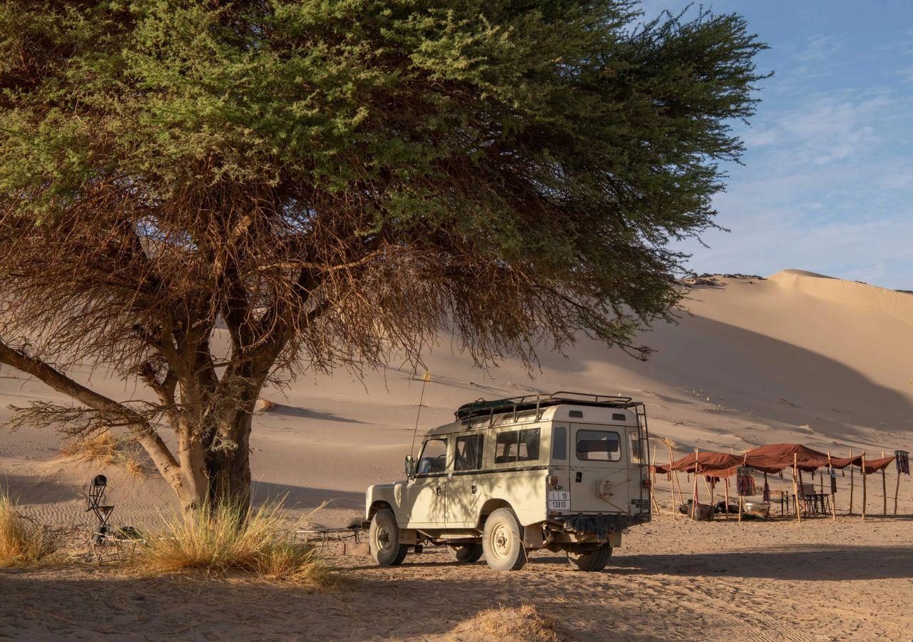 Acacia Camp - landrover parked under tree canopy