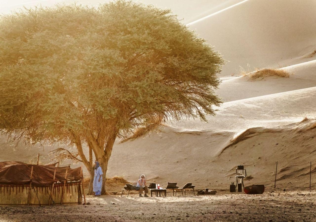 Acacia Camp - camp set up at sunset