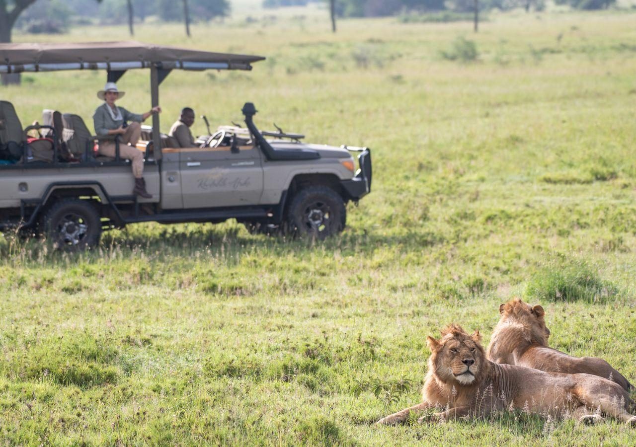 Cherero Camp Game Drive