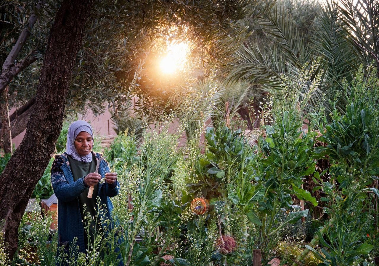 Dar Ahlam Food garden