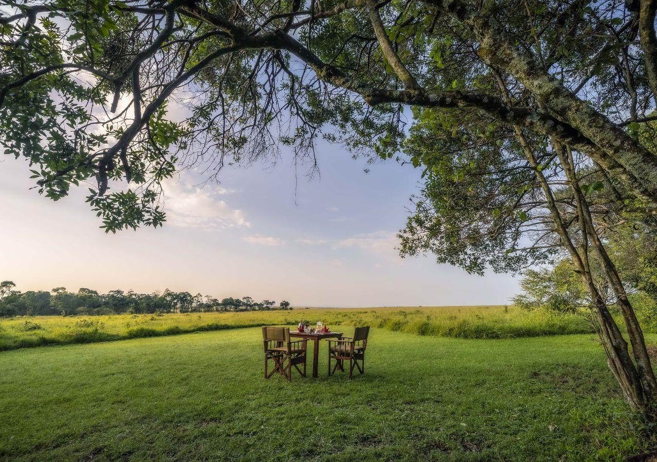 Elephant Pepper Camp New Breakfast with a View