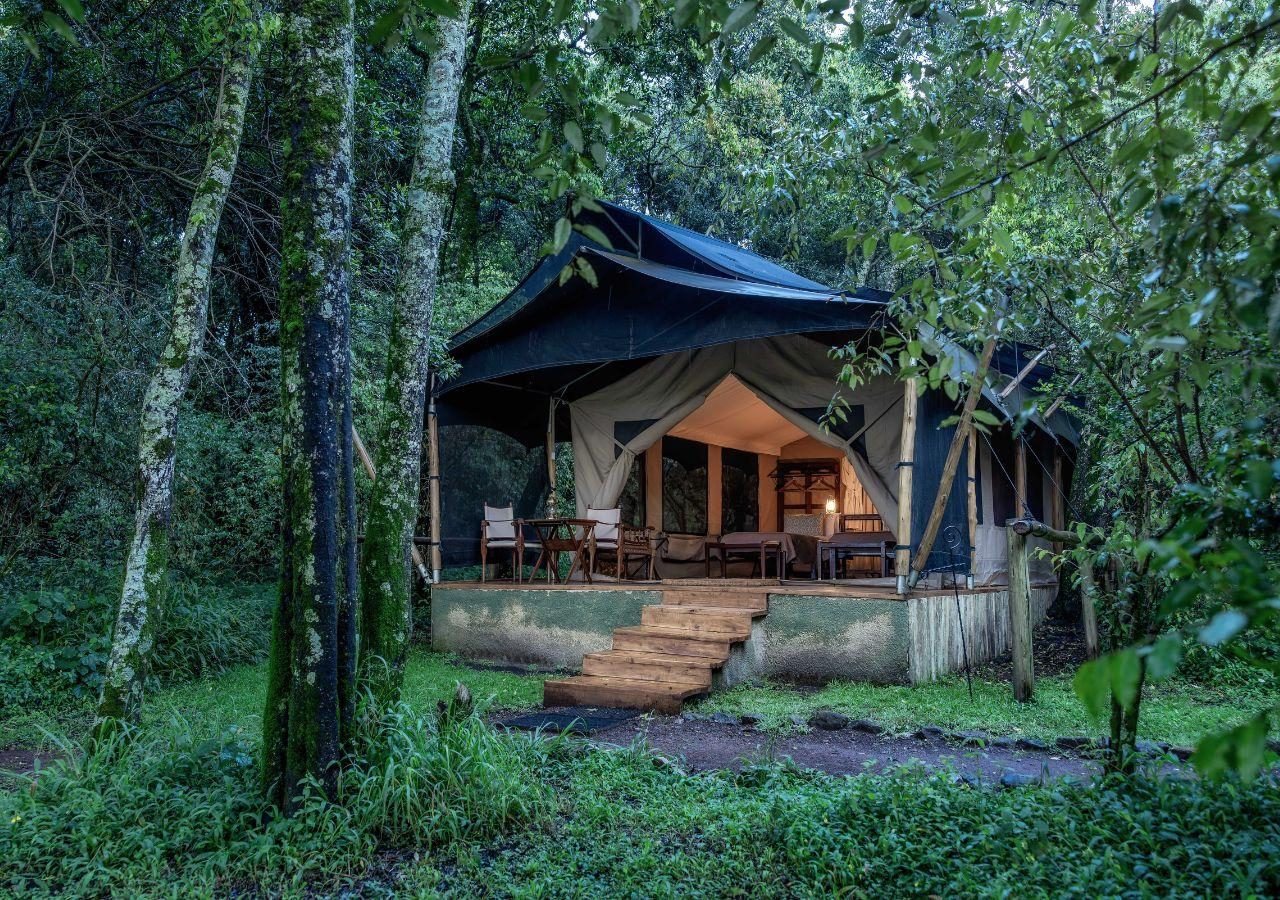Elephant Pepper Camp New Early Morning Tent View