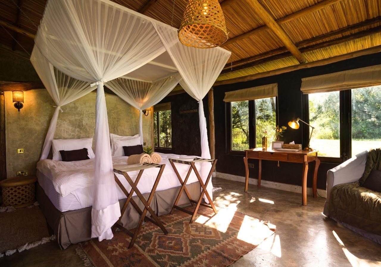 House in the Wild OIerai Suite