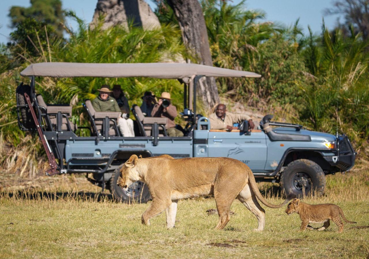 Jao Camp - Game Drive