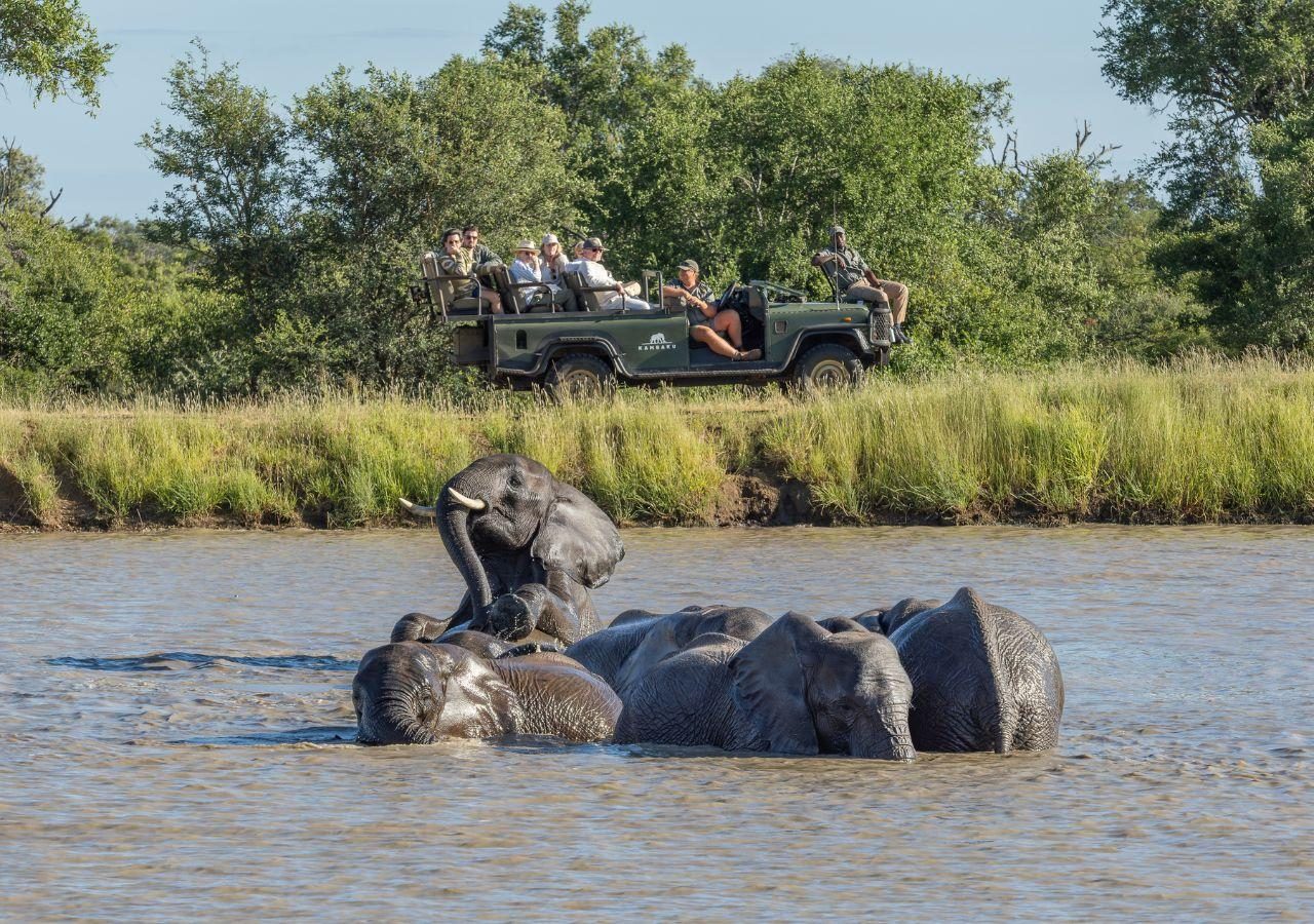Kambaku River Sands - Elephants on Game Drive