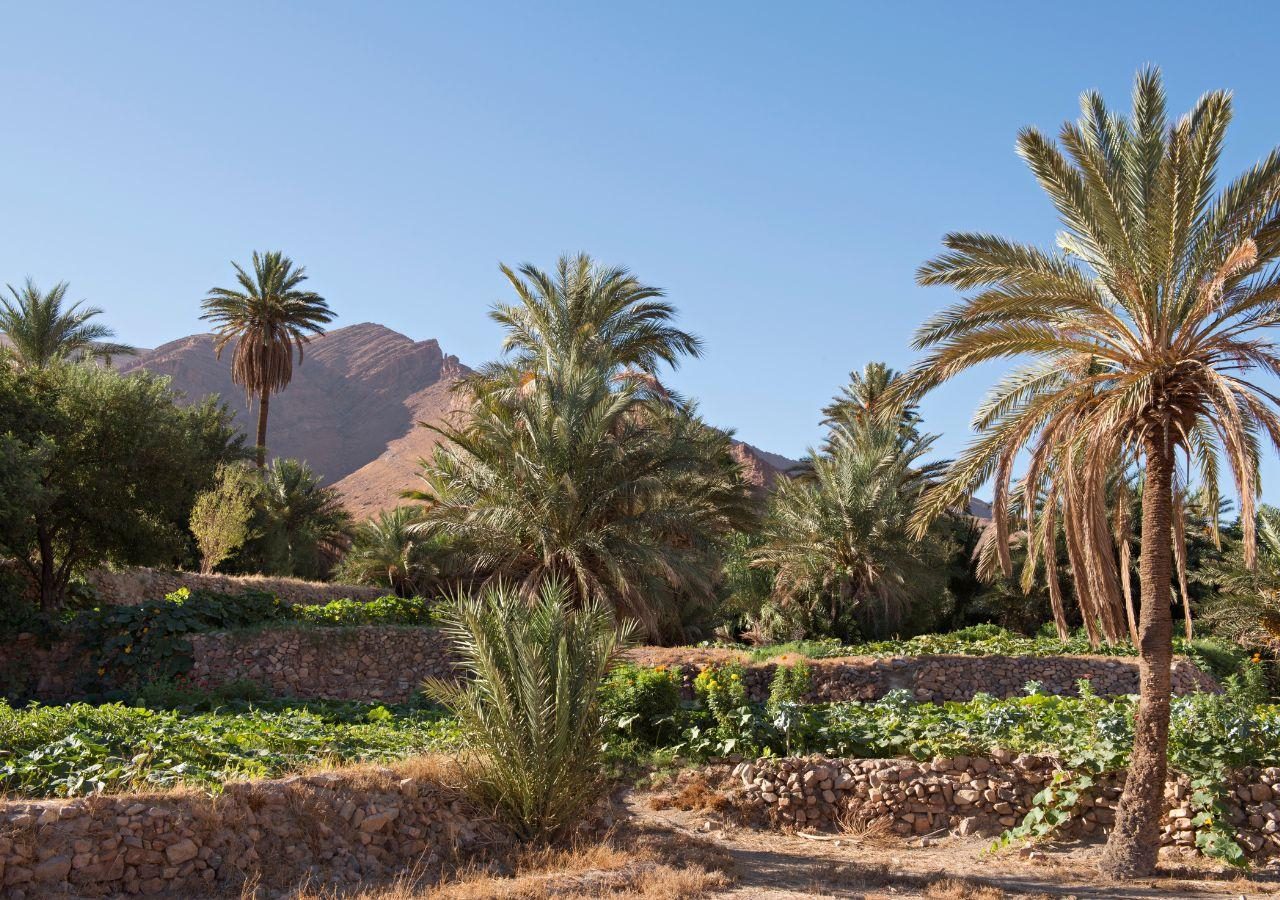 La Maison Rouge - Property Gardens and View