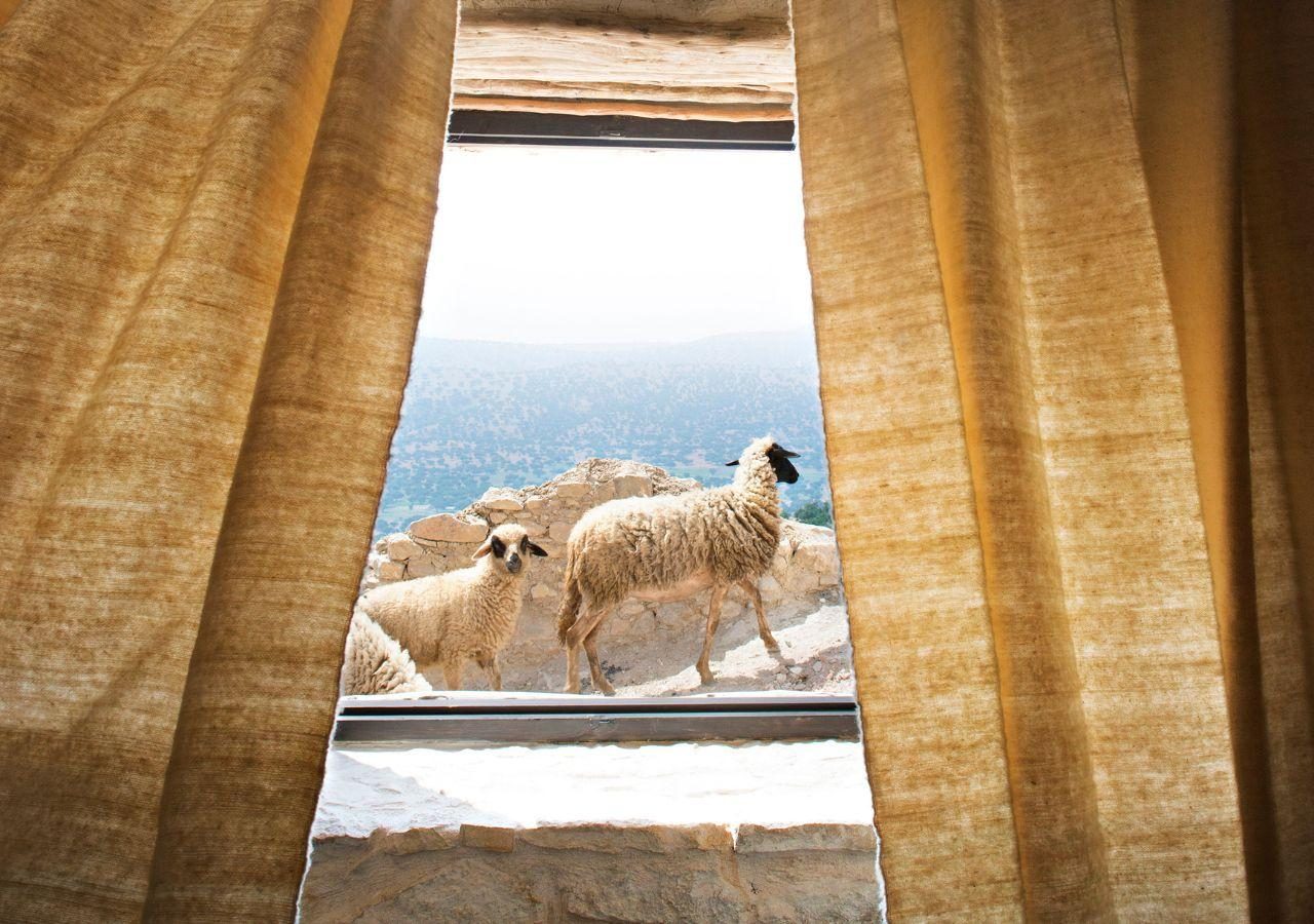 La Maison des Arganiers - Bedroom Views