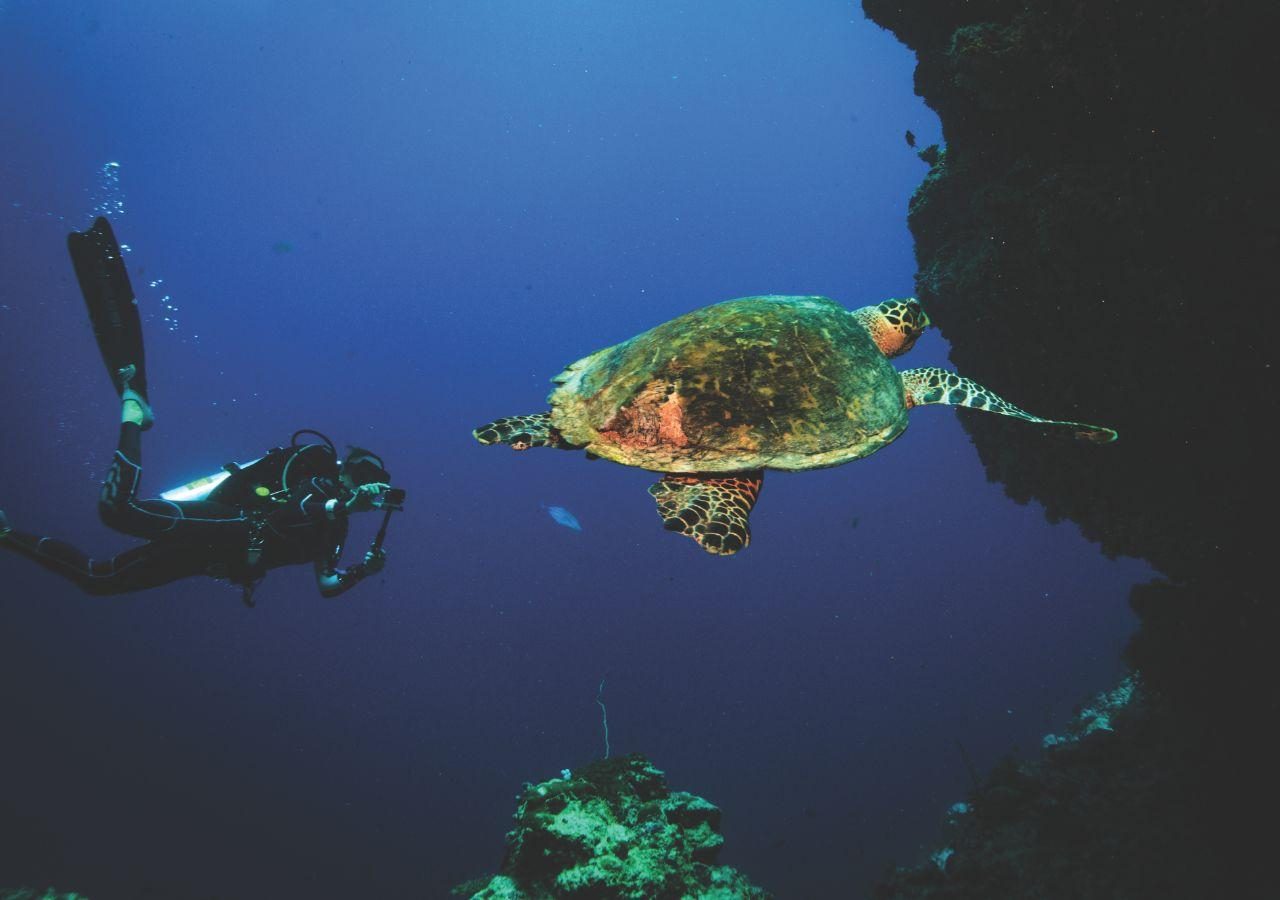 OBLU SELECT Sangeli Maldives Diving