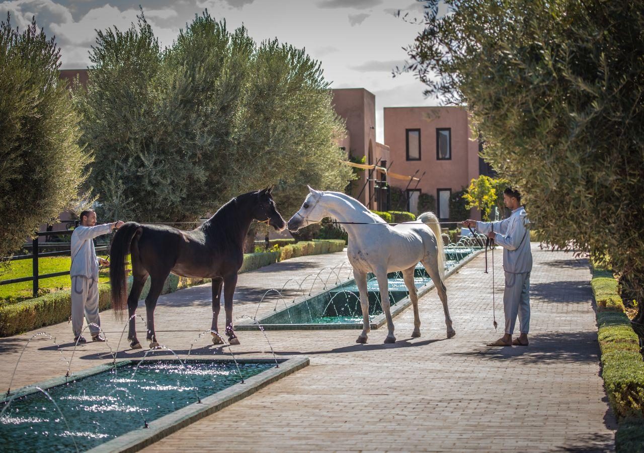 Selman Marrakech Le Pavilion