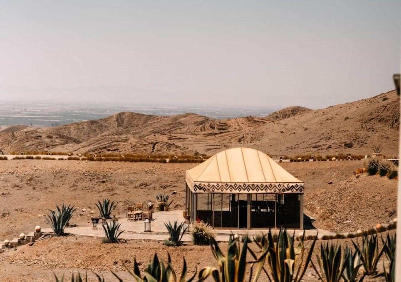 White Camel - Lounge Tent