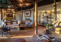 Tubu Tree Guest Lounge