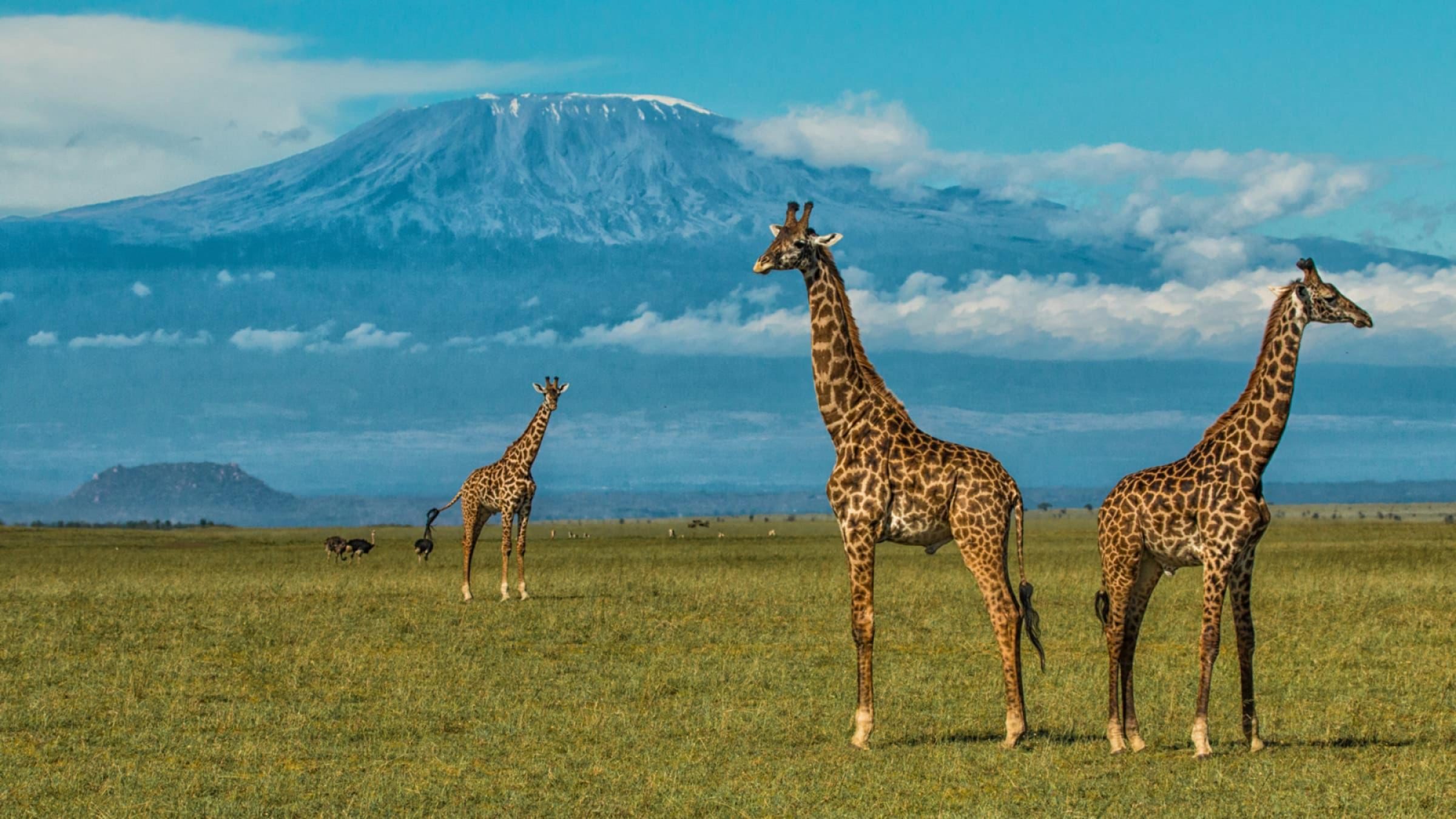 Amboseli Chyulu Hills Hero