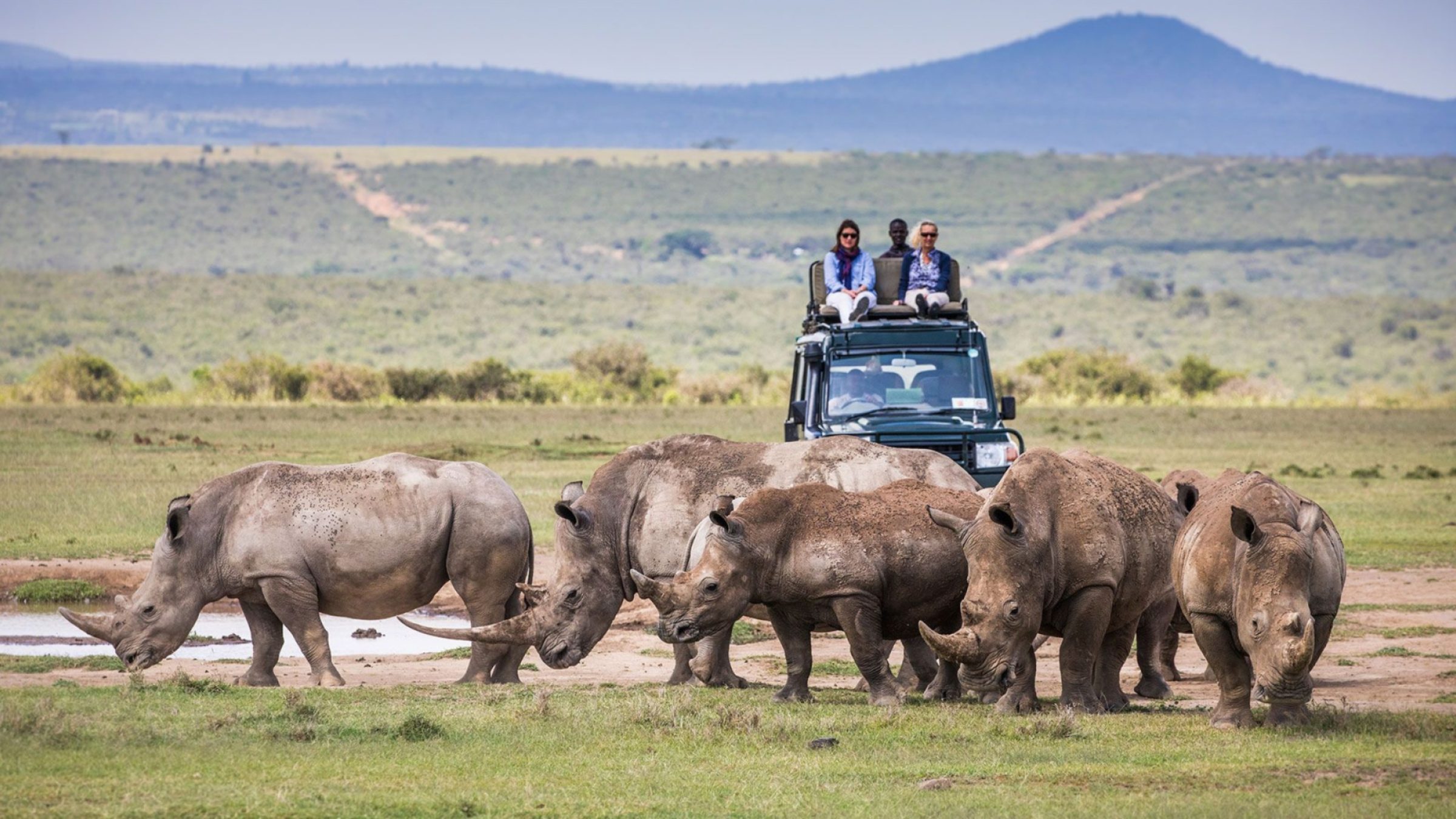 Kenya Safari Guide Hero