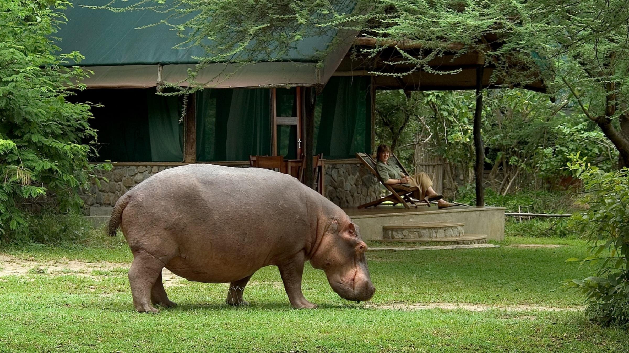 Liwonde National Park Hero