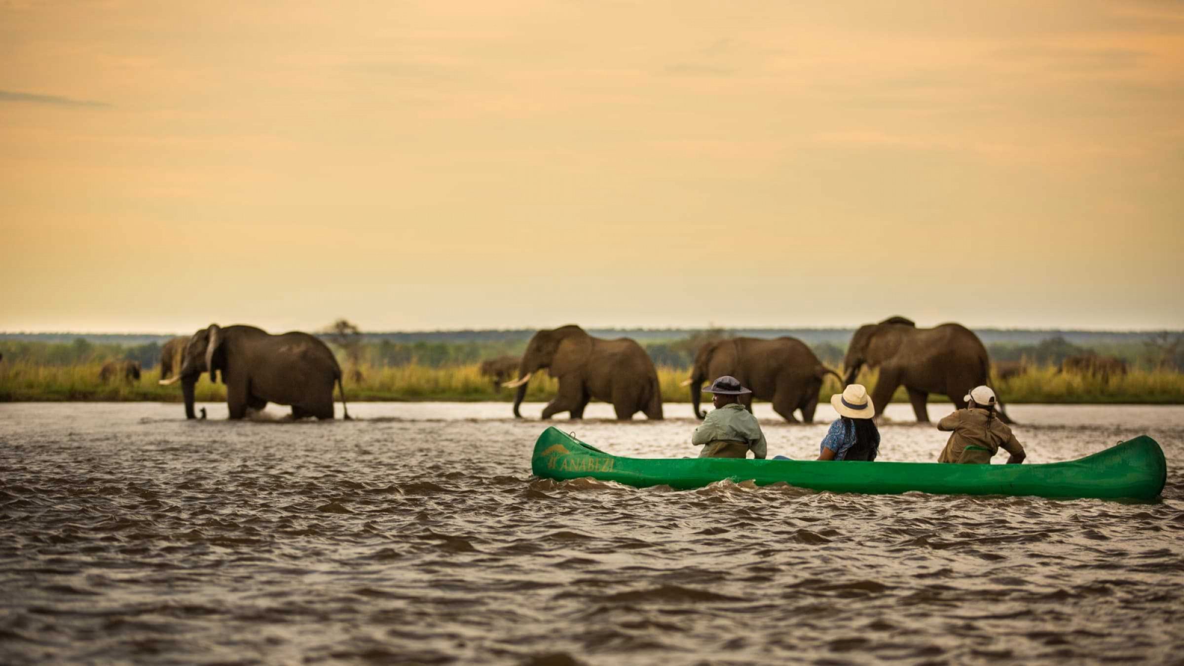 Lower Zambezi NP Hero