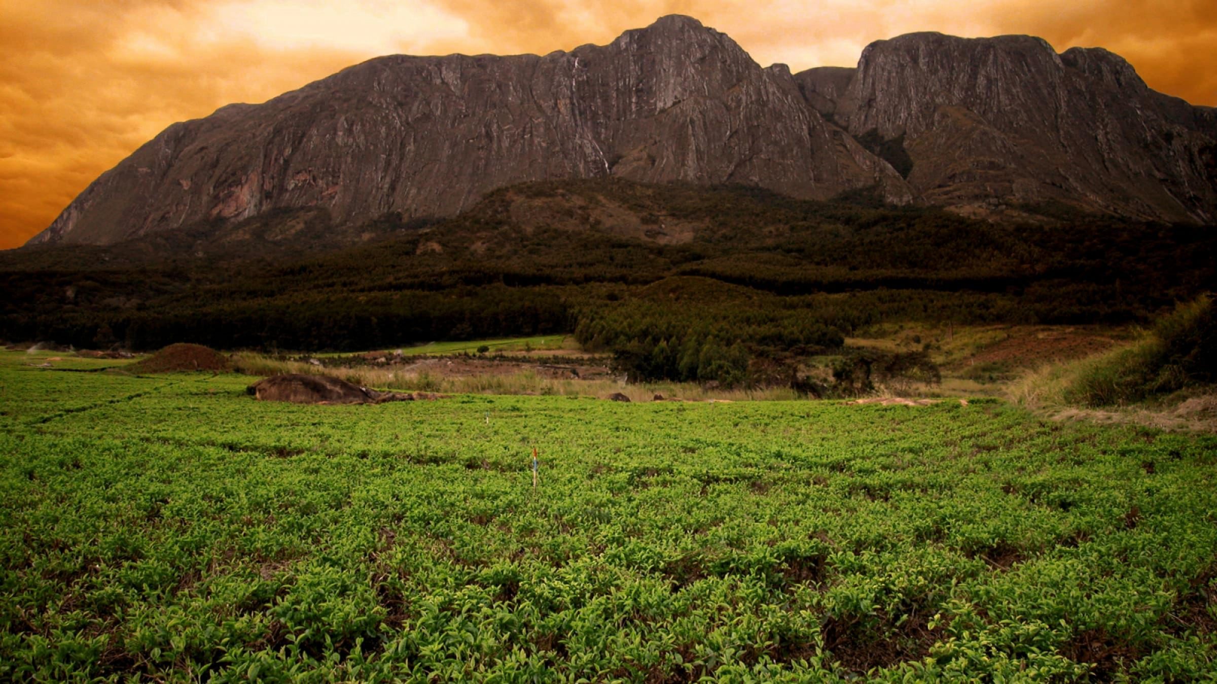 Mount Mulanje Hero