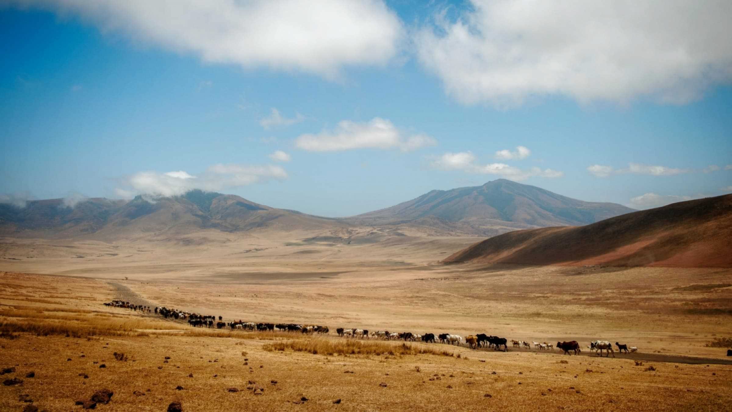 Ngorongoro Crater Hero