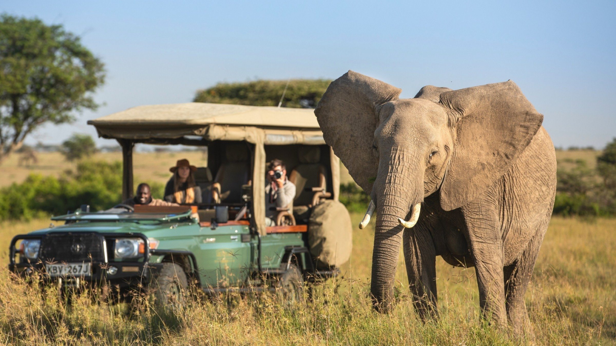 Safari experience Hero great plains