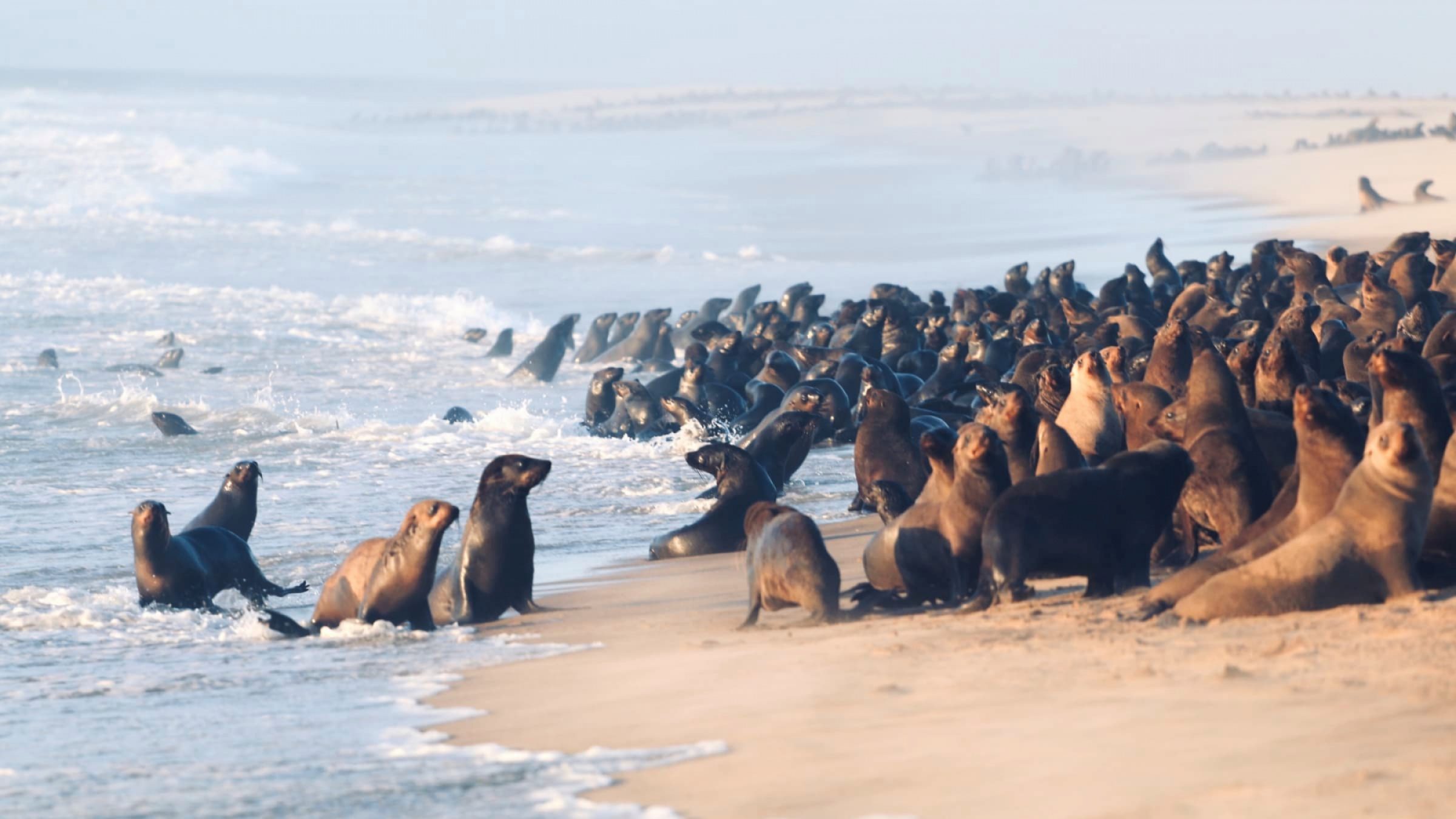 Swakopmund and Walvis Bay Hero