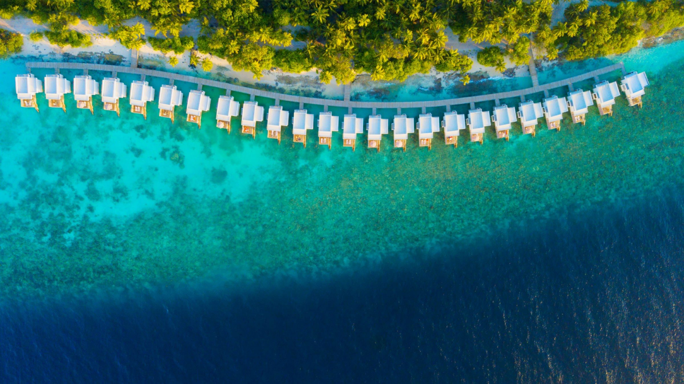 Maldives hero image