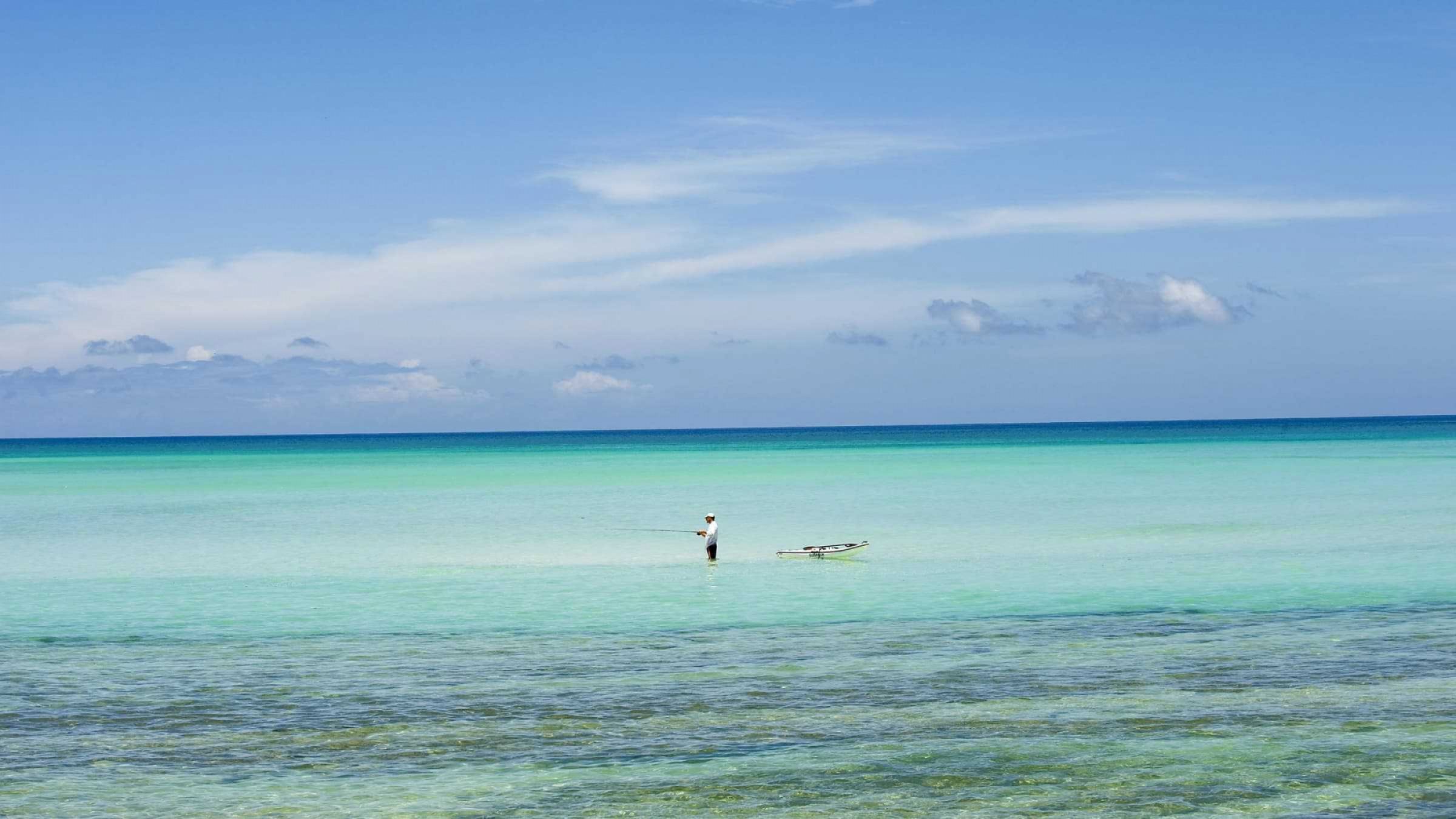 Vamizi island mozambique safari beach hero