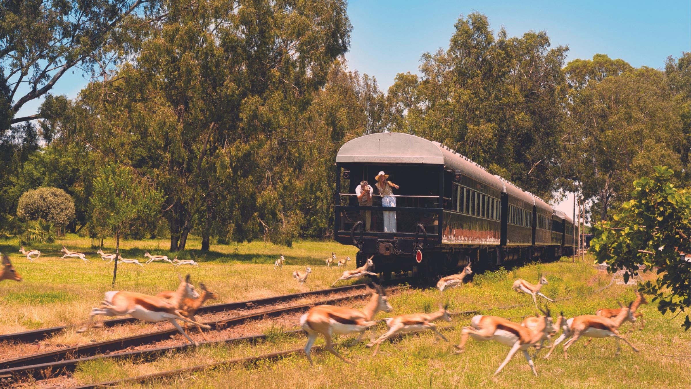 Luxury train in Africa