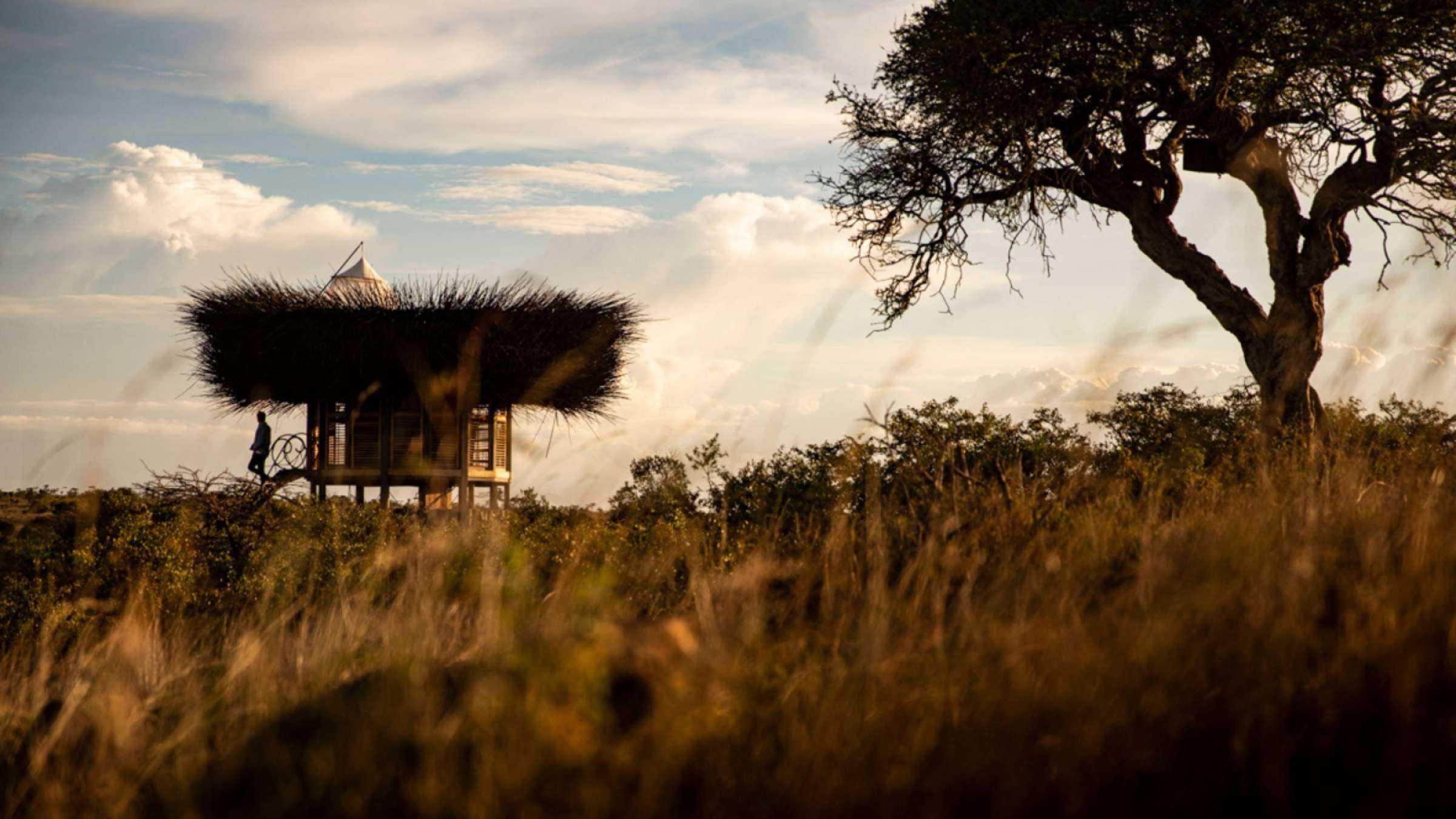 Segera Retreat - Birds Nest Building