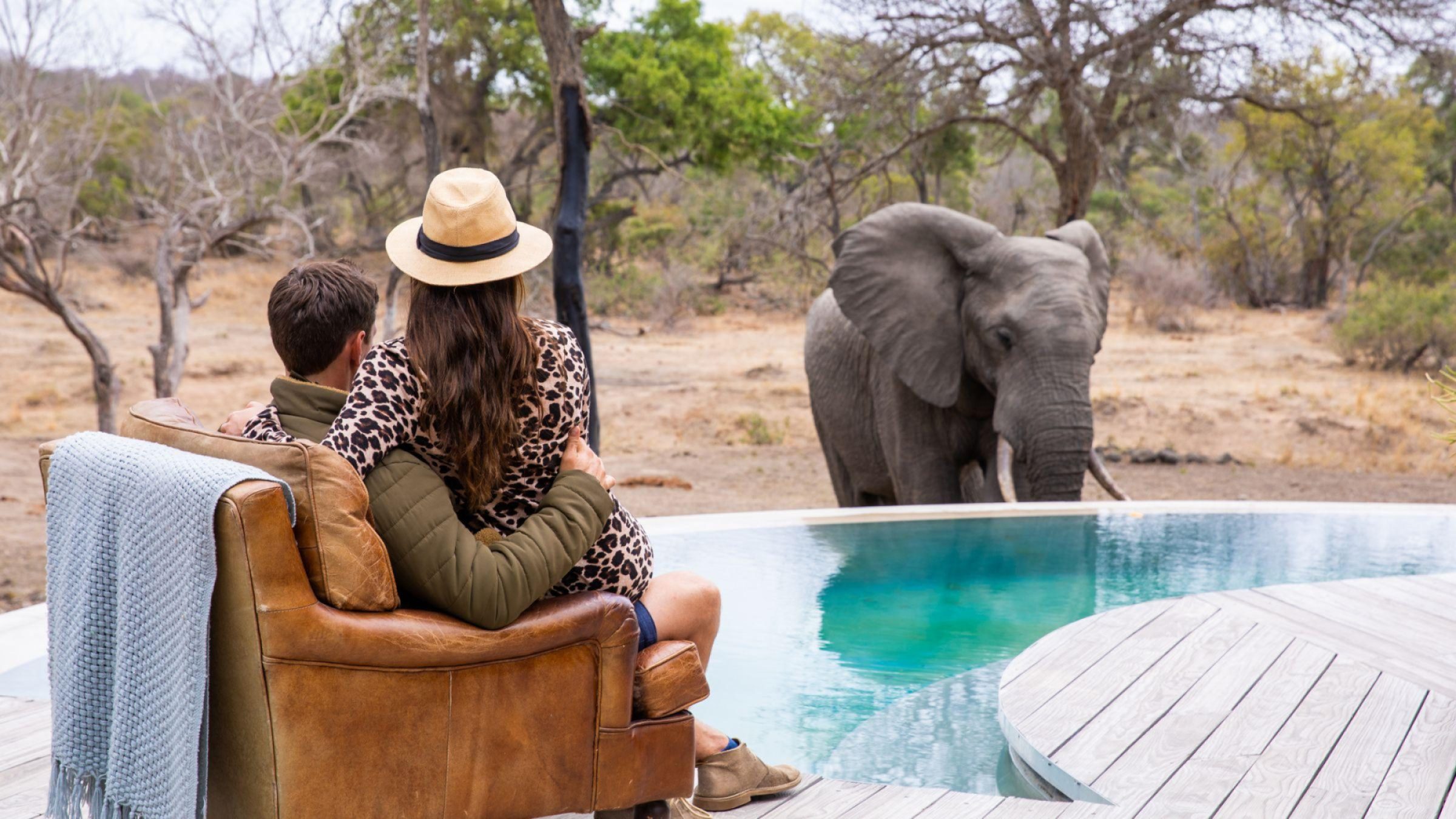 Siviti -elephant drinking from main guest pool