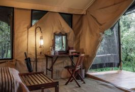 Elephant Pepper Camp New Desk indoor Tent