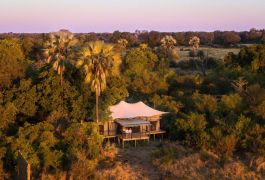 Tubu Tree Aerial View of suite